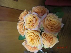 バラ　「ロザリー」｜「フラワーショップまえだ」　（兵庫県たつの市の花キューピット加盟店 花屋）のブログ