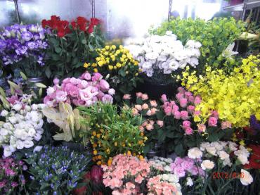 切花入荷しました！！｜「フラワーショップまえだ」　（兵庫県たつの市の花キューピット加盟店 花屋）のブログ