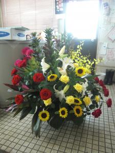 花いろいろ（*＾-＾*）｜「フラワーショップまえだ」　（兵庫県たつの市の花キューピット加盟店 花屋）のブログ