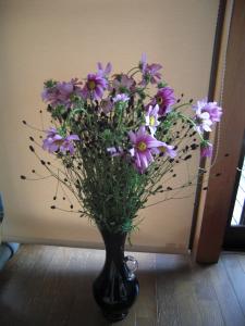 秋ですよ～｜「フラワーショップまえだ」　（兵庫県たつの市の花キューピット加盟店 花屋）のブログ