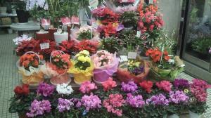 ありがとうございましたo(＾▽＾o)(o＾▽＾)o｜「フラワーショップまえだ」　（兵庫県たつの市の花キューピット加盟店 花屋）のブログ