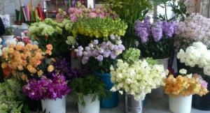 ☆いいにおい☆｜「フラワーショップまえだ」　（兵庫県たつの市の花キューピット加盟店 花屋）のブログ