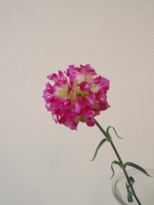 母の日を終えて☆｜「フラワーショップまえだ」　（兵庫県たつの市の花キューピット加盟店 花屋）のブログ