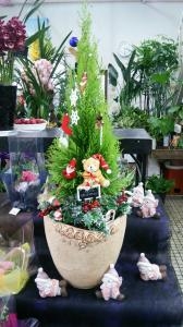クリスマスツリー？｜「フラワーショップまえだ」　（兵庫県たつの市の花キューピット加盟店 花屋）のブログ