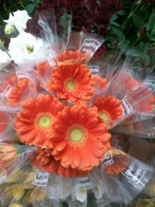 キレイなお花｜「フラワーショップまえだ」　（兵庫県たつの市の花キューピット加盟店 花屋）のブログ