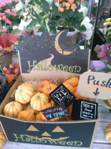 かぼちゃ｜「フラワーショップまえだ」　（兵庫県たつの市の花キューピット加盟店 花屋）のブログ