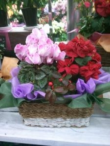 寄せ鉢｜「フラワーショップまえだ」　（兵庫県たつの市の花キューピット加盟店 花屋）のブログ