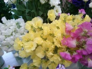 ご挨拶｜「フラワーショップまえだ」　（兵庫県たつの市の花キューピット加盟店 花屋）のブログ