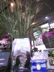 お月見｜「フラワーショップまえだ」　（兵庫県たつの市の花キューピット加盟店 花屋）のブログ