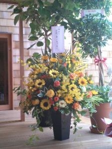ひまわりのアレンジメント｜「フラワーショップまえだ」　（兵庫県たつの市の花キューピット加盟店 花屋）のブログ