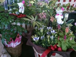敬老の日｜「フラワーショップまえだ」　（兵庫県たつの市の花キューピット加盟店 花屋）のブログ