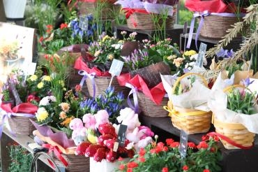 9月21日は敬老の日☺♥｜「フラワーショップまえだ」　（兵庫県たつの市の花キューピット加盟店 花屋）のブログ